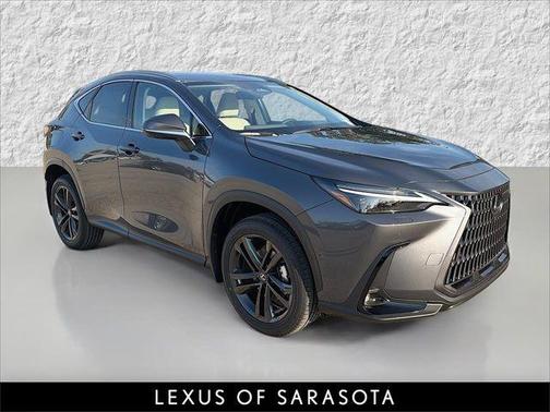 Cloudburst Gray 2026 Lexus NX 450h+ Luxury