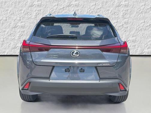 Cloudburst Gray 2026 Lexus UX 300h Premium