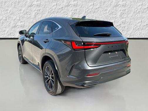 Cloudburst Gray 2025 Lexus NX 350 Premium
