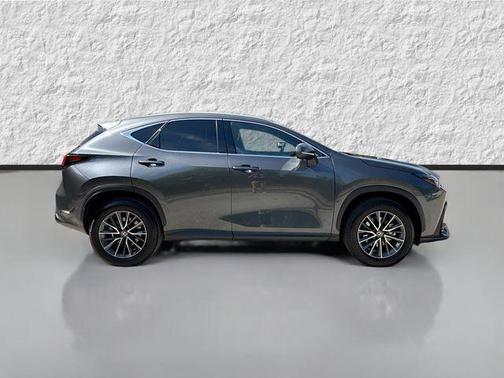 Cloudburst Gray 2025 Lexus NX 350 Premium