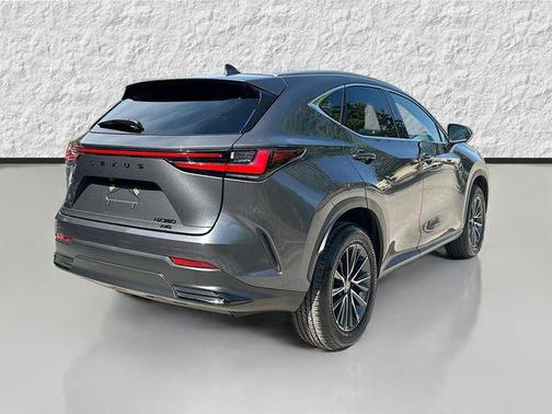 Cloudburst Gray 2025 Lexus NX 350 Premium