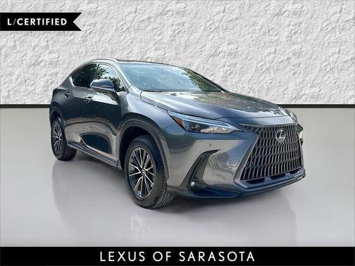 Cloudburst Gray 2025 Lexus NX 350 Premium