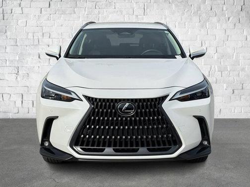 2025 Lexus NX 250 Base