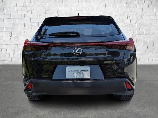 2025 Lexus UX 300h Premium