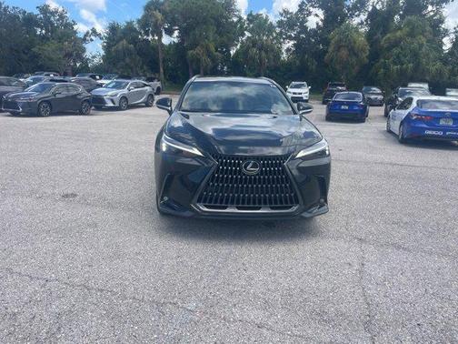 2025 Lexus NX 250 Base