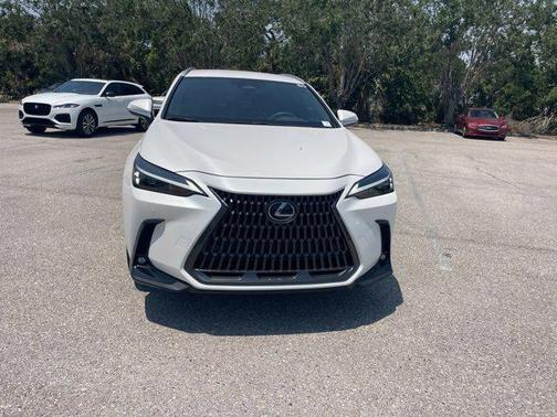 2025 Lexus NX 250 Base