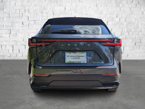 2025 Lexus NX 250 Premium