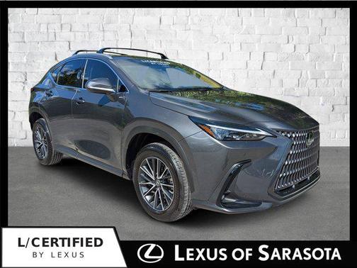 2025 Lexus NX 250 Premium