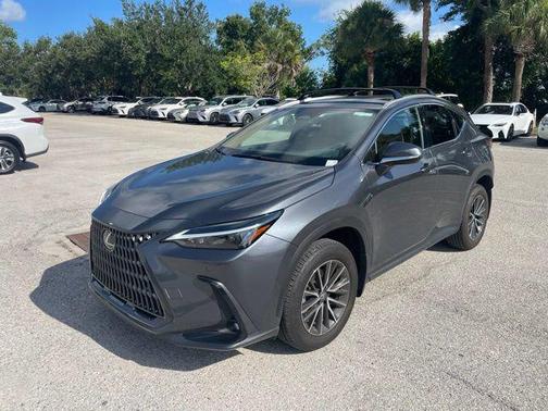 Cloudburst Gray 2025 Lexus NX 250 Base
