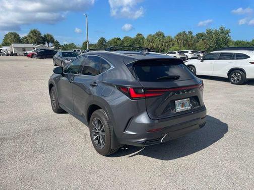 Cloudburst Gray 2025 Lexus NX 250 Base