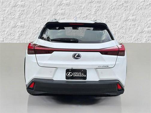 2020 Lexus UX 250h Base