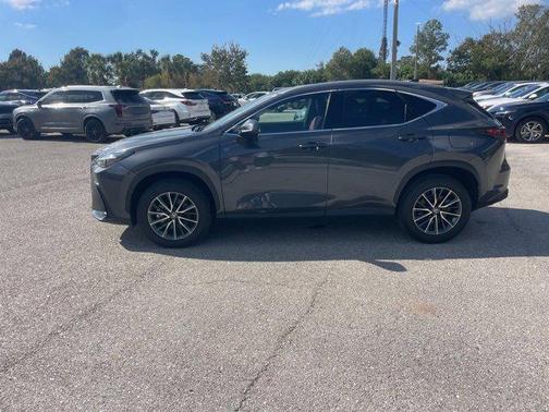 2025 Lexus NX 250 Premium