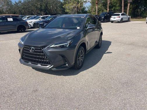 2025 Lexus NX 250 Premium