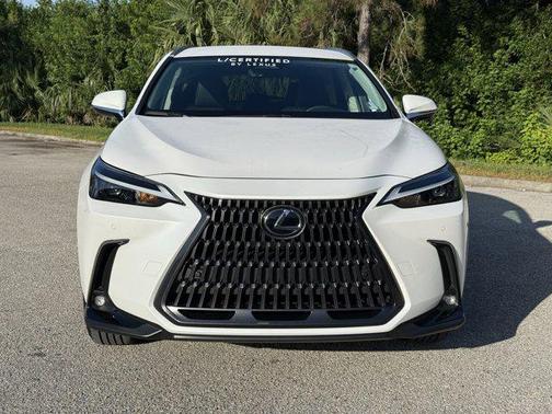2025 Lexus NX 250 Base