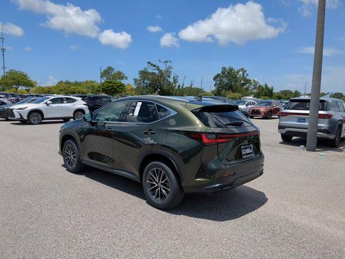 2025 Lexus NX 250 Premium