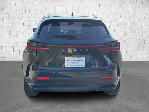 2024 Lexus NX 250 Premium