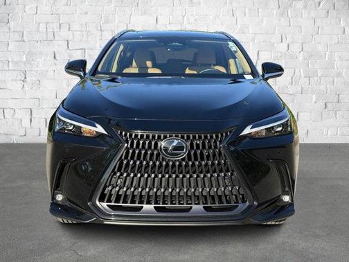 2024 Lexus NX 250 Premium