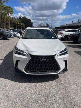 2025 Lexus NX 250 Premium