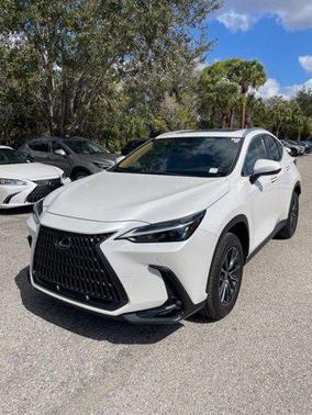 2025 Lexus NX 250 Premium