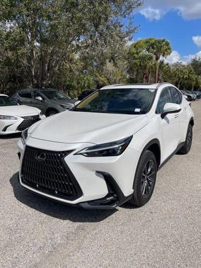 2025 Lexus NX 250 Premium
