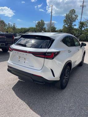 2025 Lexus NX 250 Premium