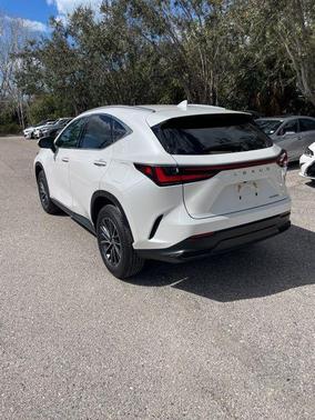 2025 Lexus NX 250 Premium