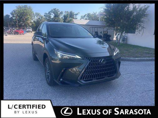 2023 Lexus NX 250 Premium