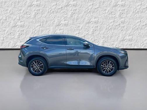 Cloudburst Gray 2025 Lexus NX 250 Premium