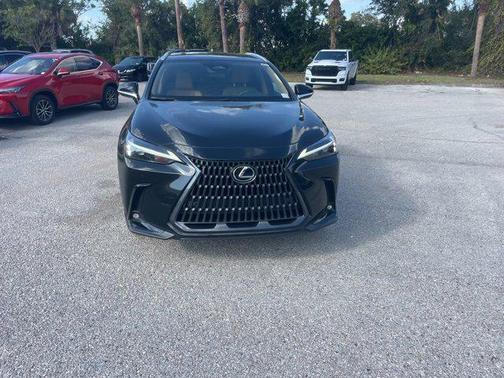 2025 Lexus NX 250 Base