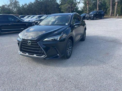 2025 Lexus NX 250 Base
