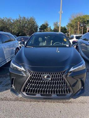 2022 Lexus NX 250 Premium