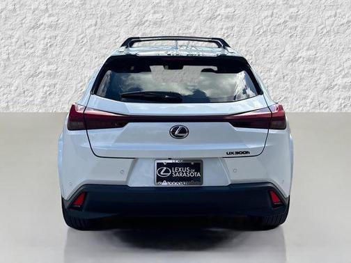 2025 Lexus UX 300h Premium