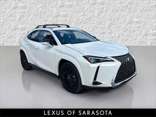 2025 Lexus UX 300h Premium