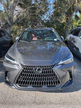 2025 Lexus NX 250 Premium