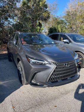 2025 Lexus NX 250 Premium