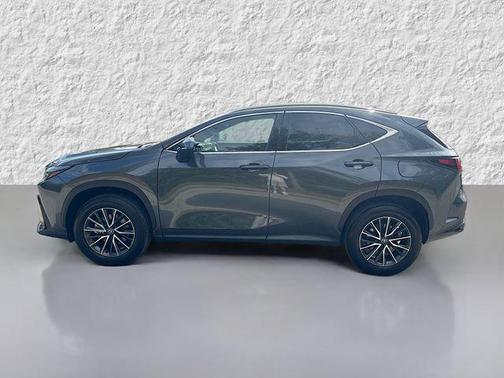 2025 Lexus NX 250 Premium