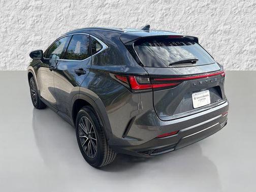 2025 Lexus NX 250 Premium
