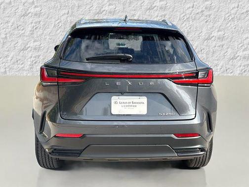 2025 Lexus NX 250 Premium