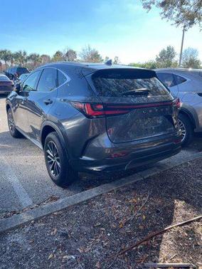 2025 Lexus NX 250 Premium