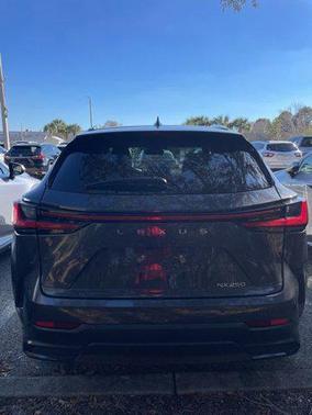 2025 Lexus NX 250 Premium