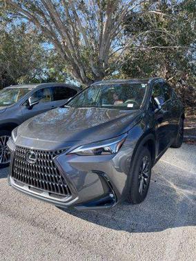 2025 Lexus NX 250 Premium
