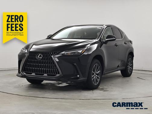 Black 2025 Lexus NX 250 Premium