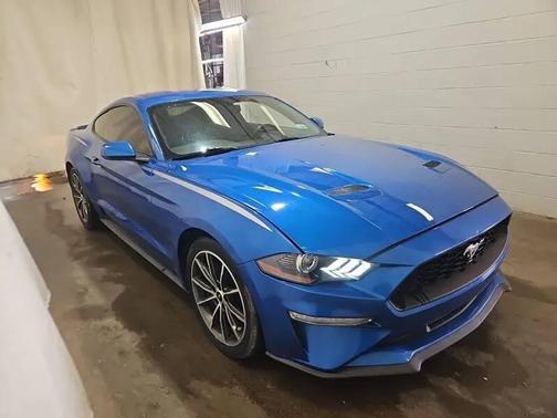 Blue 2019 Ford Mustang EcoBoost Premium