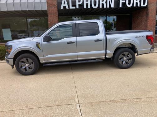 Silver Metallic 2025 Ford F-150 STX