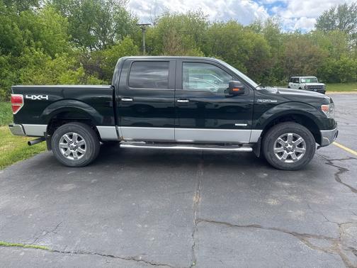 Green Gem Metallic 2014 Ford F-150 XLT
