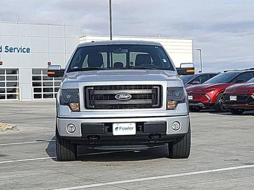 INGOT SILVER METALLIC 2014 Ford F-150 FX4