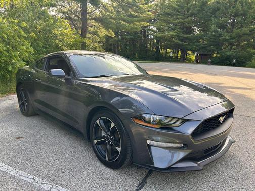 Magnetic Metallic 2018 Ford Mustang EcoBoost