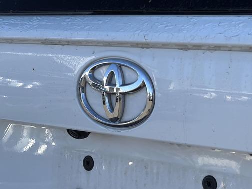 Ice Cap 2025 Toyota RAV4 LE