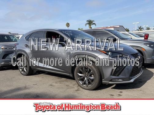 Nebula Gray Pearl 2019 Lexus NX 300 F Sport