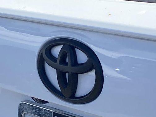 Ice 2025 Toyota RAV4 LE